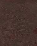 Chestnut