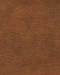 Cinnamon