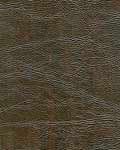 Constitution