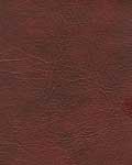 Cranberry