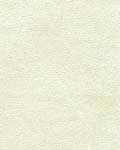 Antique White
